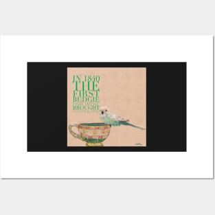 Baby Budgie (parkeet tiny and cute) on teacup animal facts green typography Posters and Art